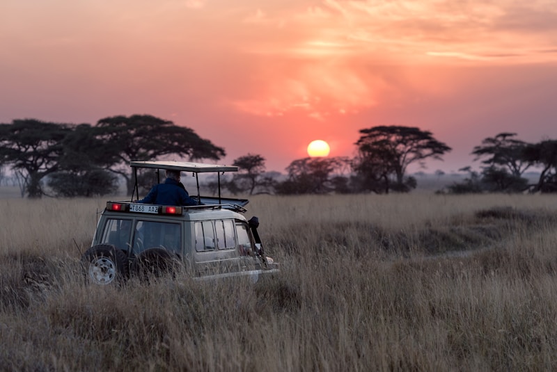 Nairobi National Park Half-Day Safari